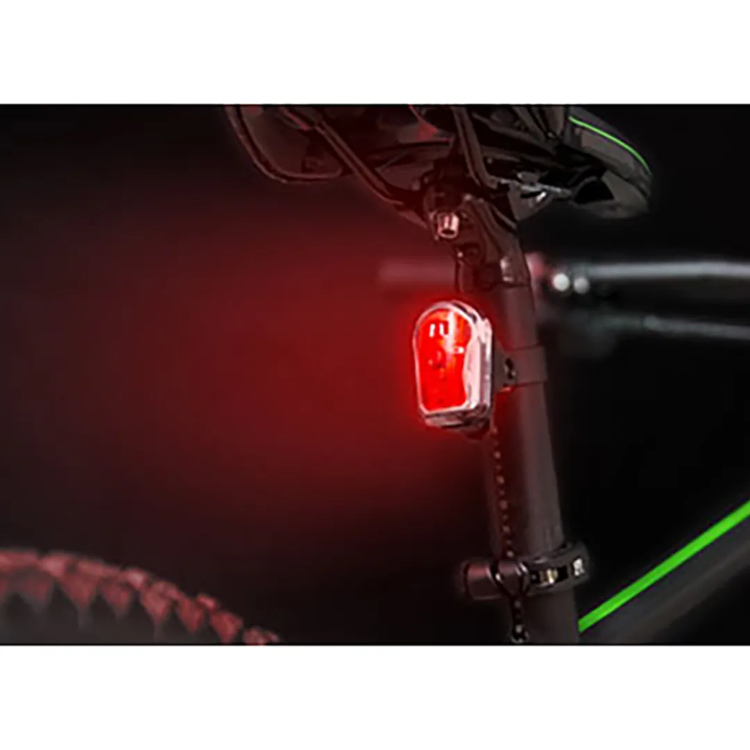 ROSE Bikes Cando battery-powered USB rear light with dual LED| Battery-Powered