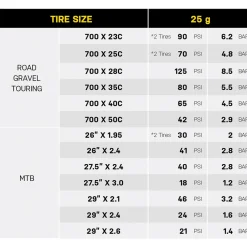 ROSE Bikes CO2 Cartridges 25 g threaded, Set of 2| CO2 Pumps And Cartridges
