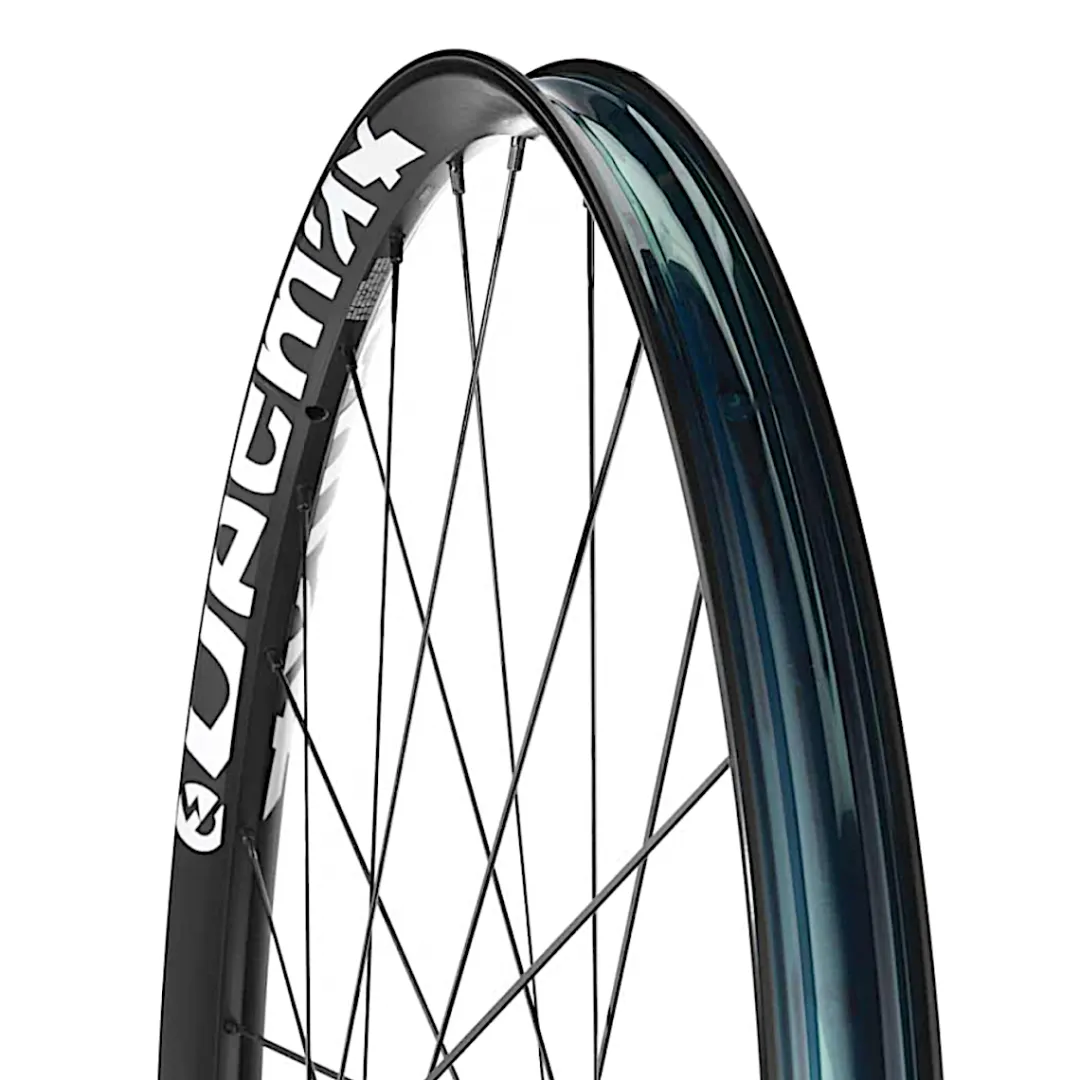 ROSE Bikes E-Deemax 29 Disc BOOST E-MTB/MTB Rear Wheel SRAM XD 6-Bolt| MTB