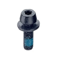 ROSE Bikes Evo 2 Fastening Bolt| Accessories