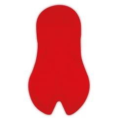 ROSE Bikes MENO WIND W Women's Windbreaker Tights| Road Shorts And Tights|Bib Shorts And Tights