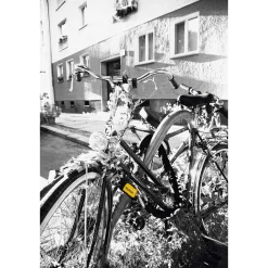 ROSE Bikes New York Fahgettaboudit 1410 Chain Lock| Chain Locks