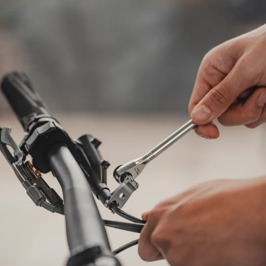 ROSE Bikes Torq Stick Pro Digital Torque Wrench Set 1–20 Nm| Bike Tools