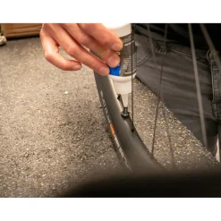 ROSE Bikes Tubeless Presta valves 1 pair| Accessories